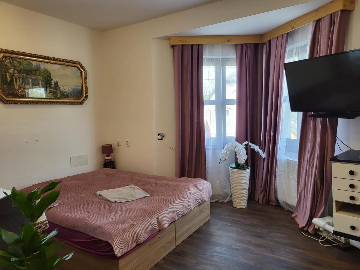 Pension Doctor Dvůr Králové nad Labem Cameră foto