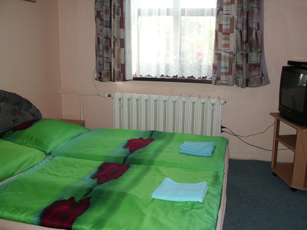 Pension Doctor Dvůr Králové nad Labem Cameră foto