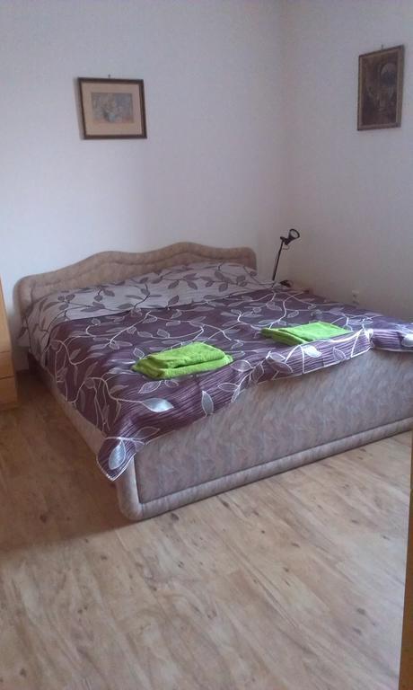 Pension Doctor Dvůr Králové nad Labem Cameră foto