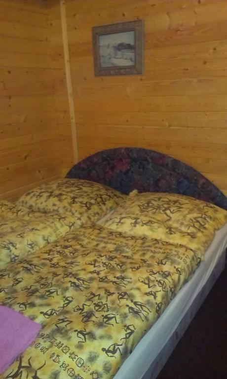 Pension Doctor Dvůr Králové nad Labem Cameră foto